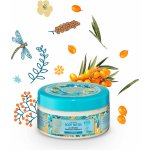 Natura Siberica Rakytníkové tělové máslo 300 ml – Zboží Dáma