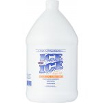 Chris Christensen Ice on Ice Detangling Conditioner Rozčesávací Kondicionér s arganovým olejem 3800 ml – Sleviste.cz