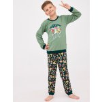 Boy Young DR 776/164 Gang zelená – Hledejceny.cz