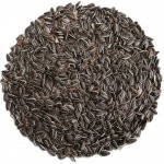 Avicentra Slunečnice žíhaná 25 kg – Zbozi.Blesk.cz