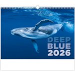 nástěnný Deep Blue / 38,5cm x 45cm / N136-26 2026 – Sleviste.cz