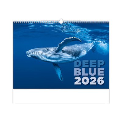 nástěnný Deep Blue / 38,5cm x 45cm / N136-26 2026 – Sleviste.cz