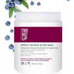 Trend Up Perfect Blonde vystříbřující maska 1000 ml – Zboží Dáma