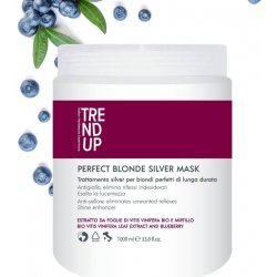 Trend Up Perfect Blonde vystříbřující maska 1000 ml