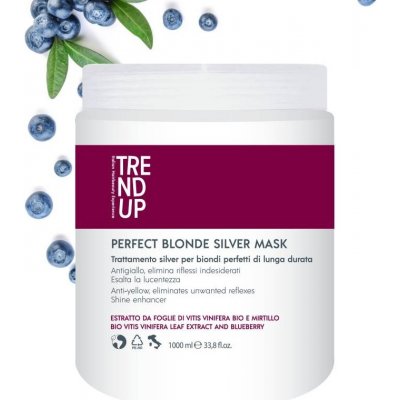 Trend Up Perfect Blonde vystříbřující maska 1000 ml – Zboží Dáma