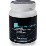 Equinova Vita Paste Junior 1,5 kg – Hledejceny.cz