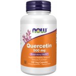 Now Foods Kvercetin Quercetin 500 mg 100 veg kapslí – Hledejceny.cz