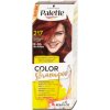 Barva na vlasy Pallete Color Shampoo 217/5-86 mahagonový