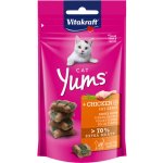 Vitakraft Cat Yums Kuře & kočičí tráva 40 g – Sleviste.cz