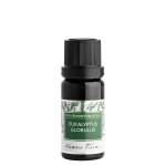 Nobilis Tilia éterický olej Eukalyptus Globulus 50 ml – Hledejceny.cz