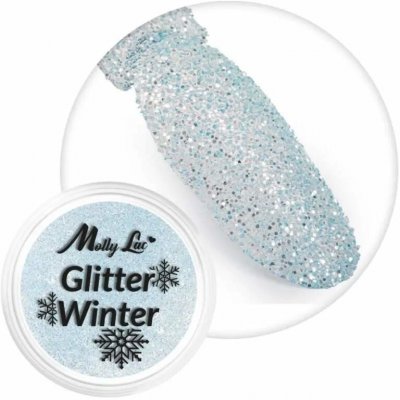 Jemný glitrový prach na nehty 1g Glitter Winter 03 krásně třpytivý holografický glitter – Hledejceny.cz