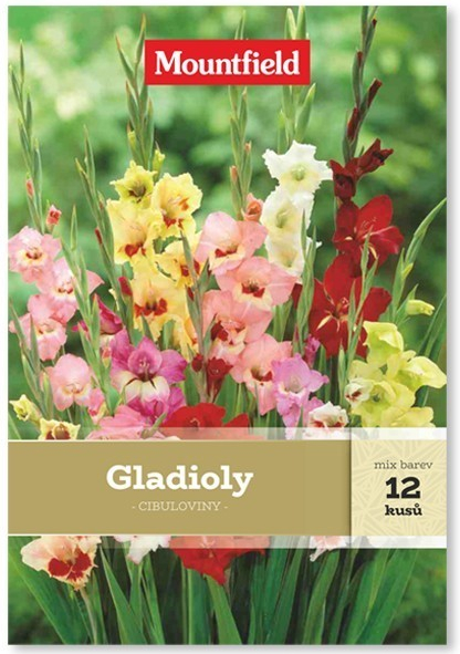 Gladioly 12ks