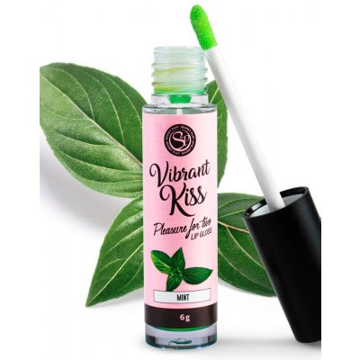 Secret Play Vibrant Kiss Lip Gloss Mint 6 g – Zboží Dáma