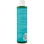 Weleda Revitalizační šampon s rozmarýnem 250 ml – Zboží Mobilmania
