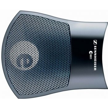 Sennheiser E901