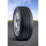 Goodyear EfficientGrip 215/55 R16 93H – Hledejceny.cz