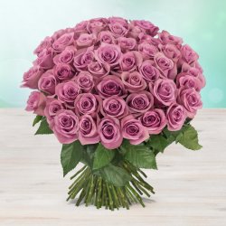 Rozvoz květin: Kytice 140 fialových čerstvých růží - Brno