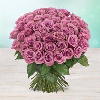 Rozvoz květin: Fialové čerstvé růže - cena za 1ks - Mladá Boleslav