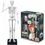 BUKI Velká lidská kostra 45 cm – Sleviste.cz