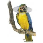 KRUUSE Plastový ochranný límec Bird Collar pro ptáky 20 cm