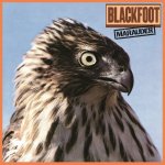 Blackfoot - Marauder LP – Hledejceny.cz