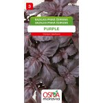 Bazalka pravá červená Purple