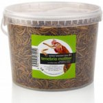 UGF sušený moučný červ 3l / 460 g – Zboží Dáma