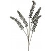 Květina Líčidlo - Phytolacca černá V93 cm