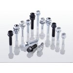 Eibach Šroub kola M14x1,5x53 Silver S4-1-14-50-53-19
