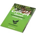 Chicza Spearmint 30 g – Zboží Dáma