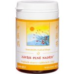 TCM Herbs Závěje plné naděje 100 tablet – Hledejceny.cz