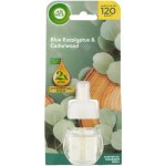 Air Wick Essential Oils Blue Eucalyptus & Cedarwood náplň 30 ml – Zboží Dáma