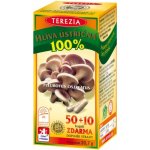 Terezia Company Hlíva Ústřičná 60 kapslí – Hledejceny.cz