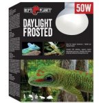 Repti Planet Daylight Frosted 50 W 007-41022 – Zboží Mobilmania