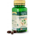 VitaHarmony Ginkgo 60 mg 100 kapslí – Hledejceny.cz