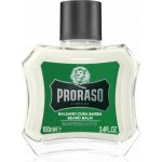 Proraso Eukalyptus balzám na vousy 100 ml – Zboží Dáma