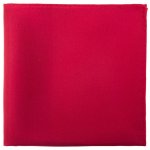 Avantgard Kapesníček do saka hedvábný Premium 610-5765 červená – Sleviste.cz