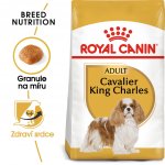 Royal Canin Cavalier King Charles Adult 0,5 kg – Hledejceny.cz