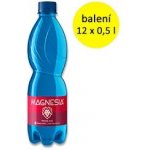 Magnesia perlivá 12 x 0,5 l – Sleviste.cz