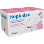 EasyLife Healthy Life Heplodex 40 kapslí – Hledejceny.cz