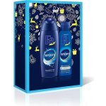 Fa Men Sport sprchový gel 250 ml + deospray 150 ml dárková sada – Hledejceny.cz