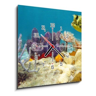 Obraz s hodinami 1D - 50 x 50 cm - Colorful underwater marine life seabed Barevné podvodní mořské dno mořského života – Zboží Mobilmania