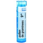 POLLEN DE GRAMINEES POR 9CH GRA 4G – Hledejceny.cz