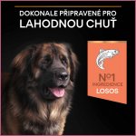 Purina Pro Plan Large Adult Athletic Sensitive Skin losos 14 kg – Hledejceny.cz