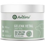 AniForte Kloub VETAL3 250 g – Hledejceny.cz