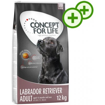 Concept for Life Labradorský retrívr 12 kg – Hledejceny.cz