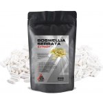 Boswellia Serrata Extract VALKNUT 240 kapslí – Hledejceny.cz