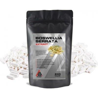 Boswellia Serrata Extract VALKNUT 240 kapslí – Hledejceny.cz