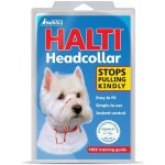 Ohlávka nylon Halti vel. 1 westík jezevčík The Company of Animals 79161 – Hledejceny.cz
