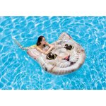 Intex 58784 Kočka – Zboží Dáma